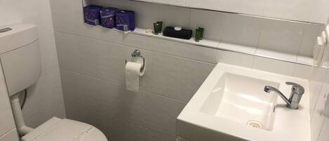 A bathroom with a toilet, a sink, and a shelf with toiletries.