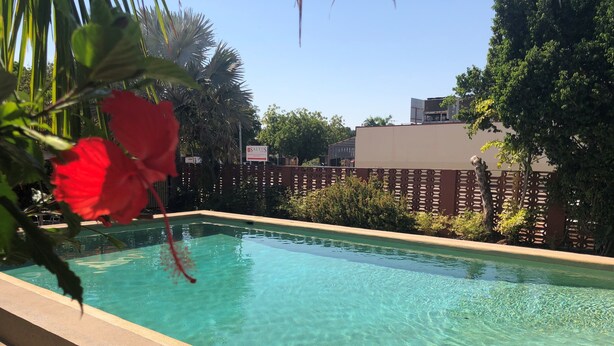 Una piscina rectangular con agua cristalina, rodeada por un bajo muro de piedra y abundante vegetación.