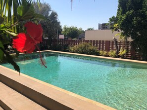 A rectangular swimming pool with clear water, surrounded by a low stone wall and lush greenery. - The Stuart Hotel-Motel (Katherine)
