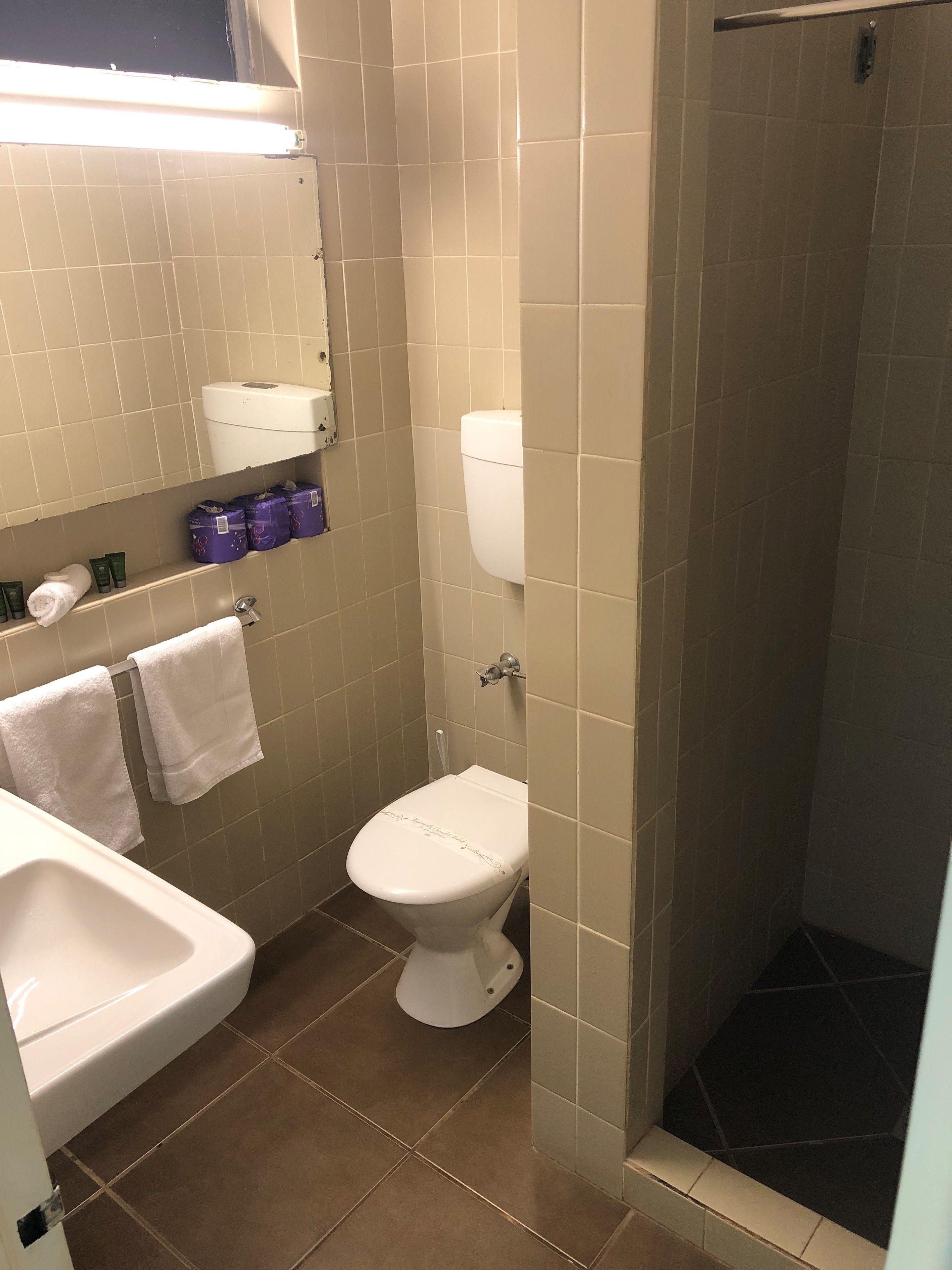 A small bathroom with a toilet, sink, and shower.