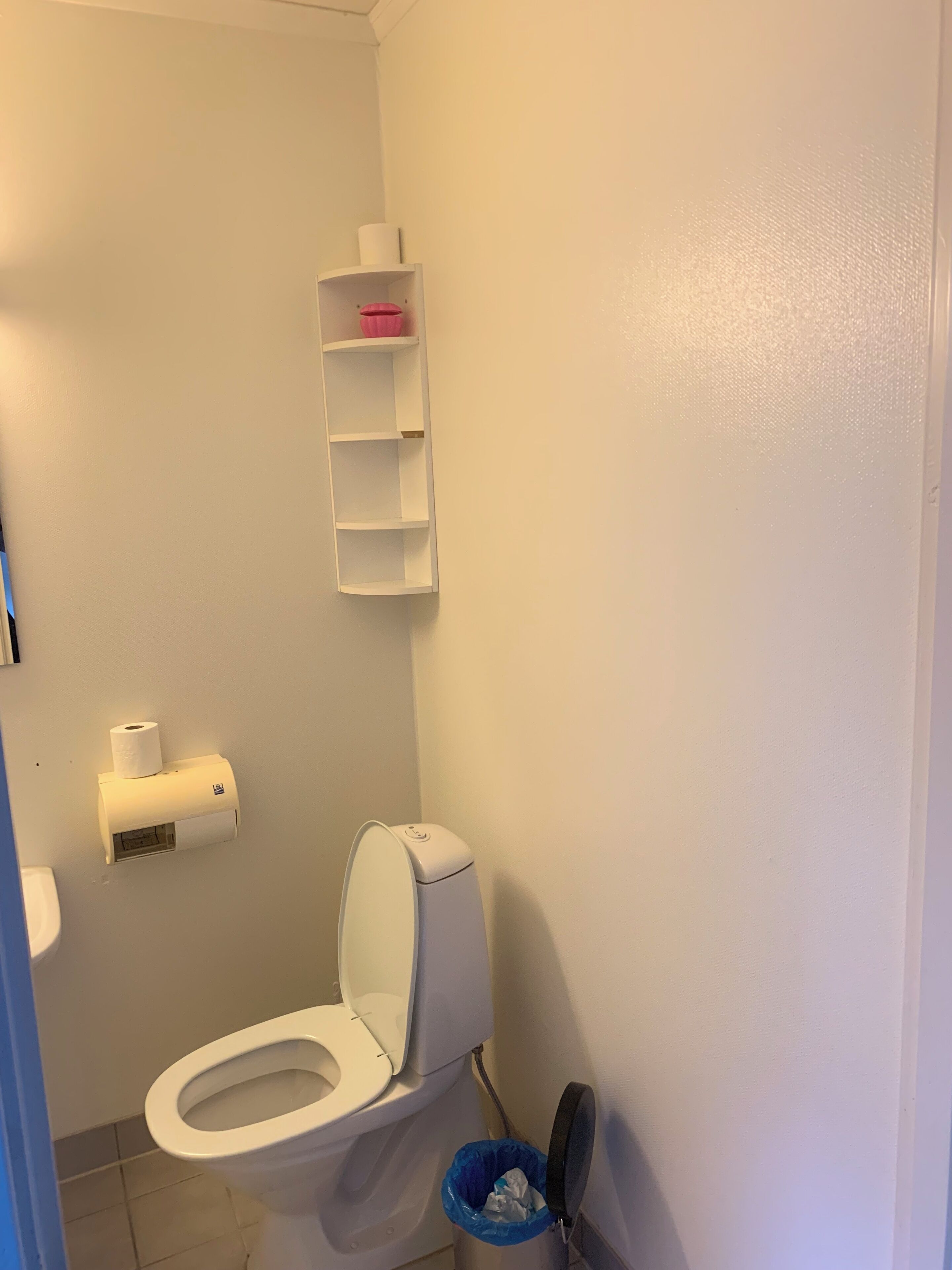 Pieni kylpyhuone, jossa on wc, wc-paperiteline, roskakori ja hylly, jonka päällä on vaaleanpunainen esine.