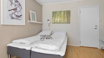 Dobbeltrom – standard, 2 enkeltsenger | Wi-fi (inkludert)