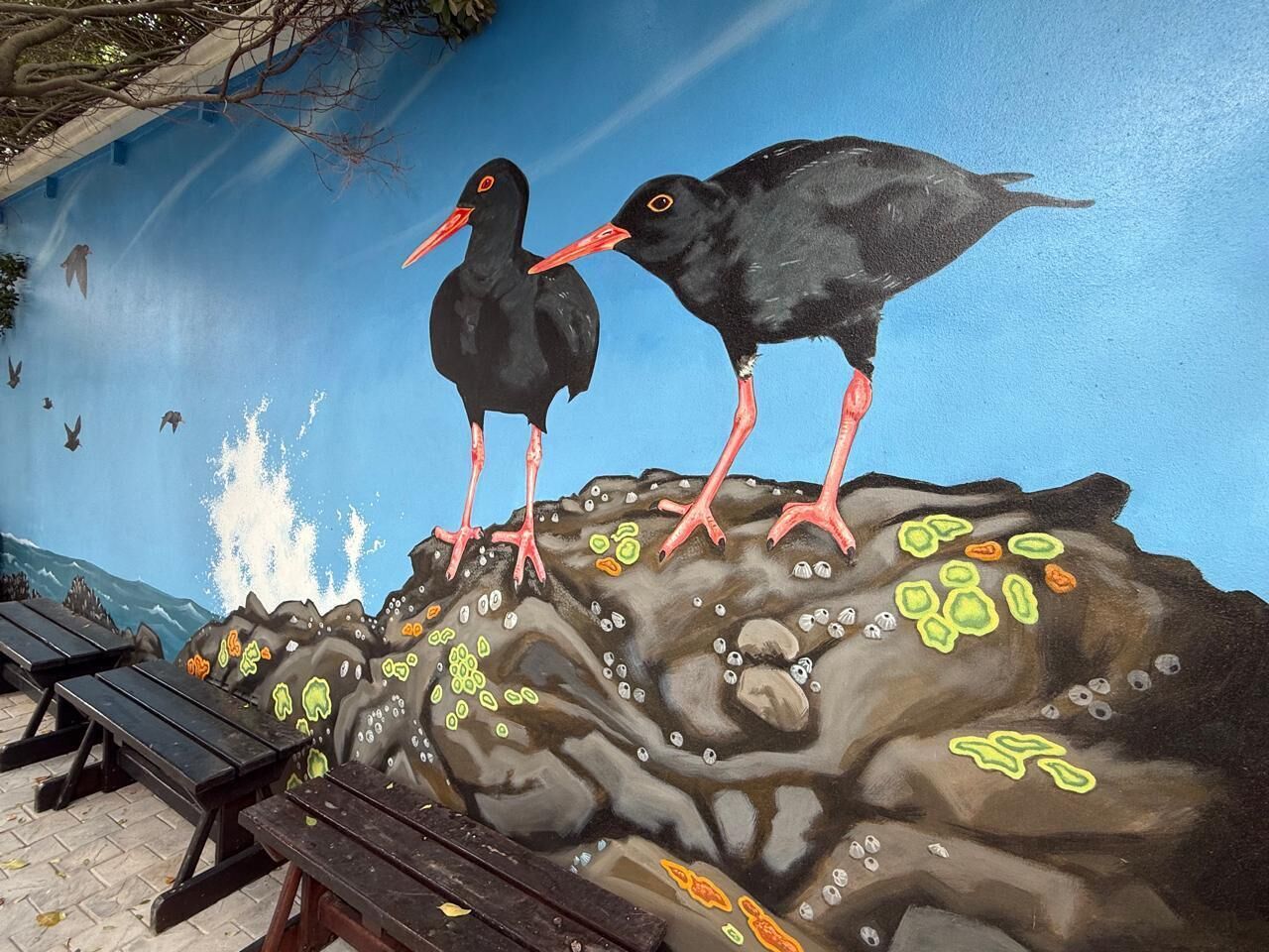 Un mural que muestra dos aves negras con picos y patas rojas posadas sobre una roca con huellas.