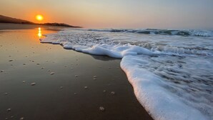A beach with waves at sunset. - Sea Paradise (Wilderness)