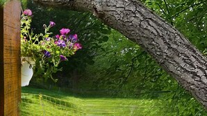 Un letrero de madera con el texto 'Chambres d'hôtes' en un entorno rústico, con un árbol y plantas en flor.