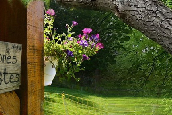 Jardín