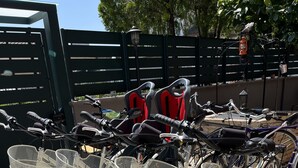 Varias bicicletas con cestas unidas, estacionadas en un espacio al aire libre y sombreado.