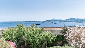 Apartment, 1 Bedroom | View from room