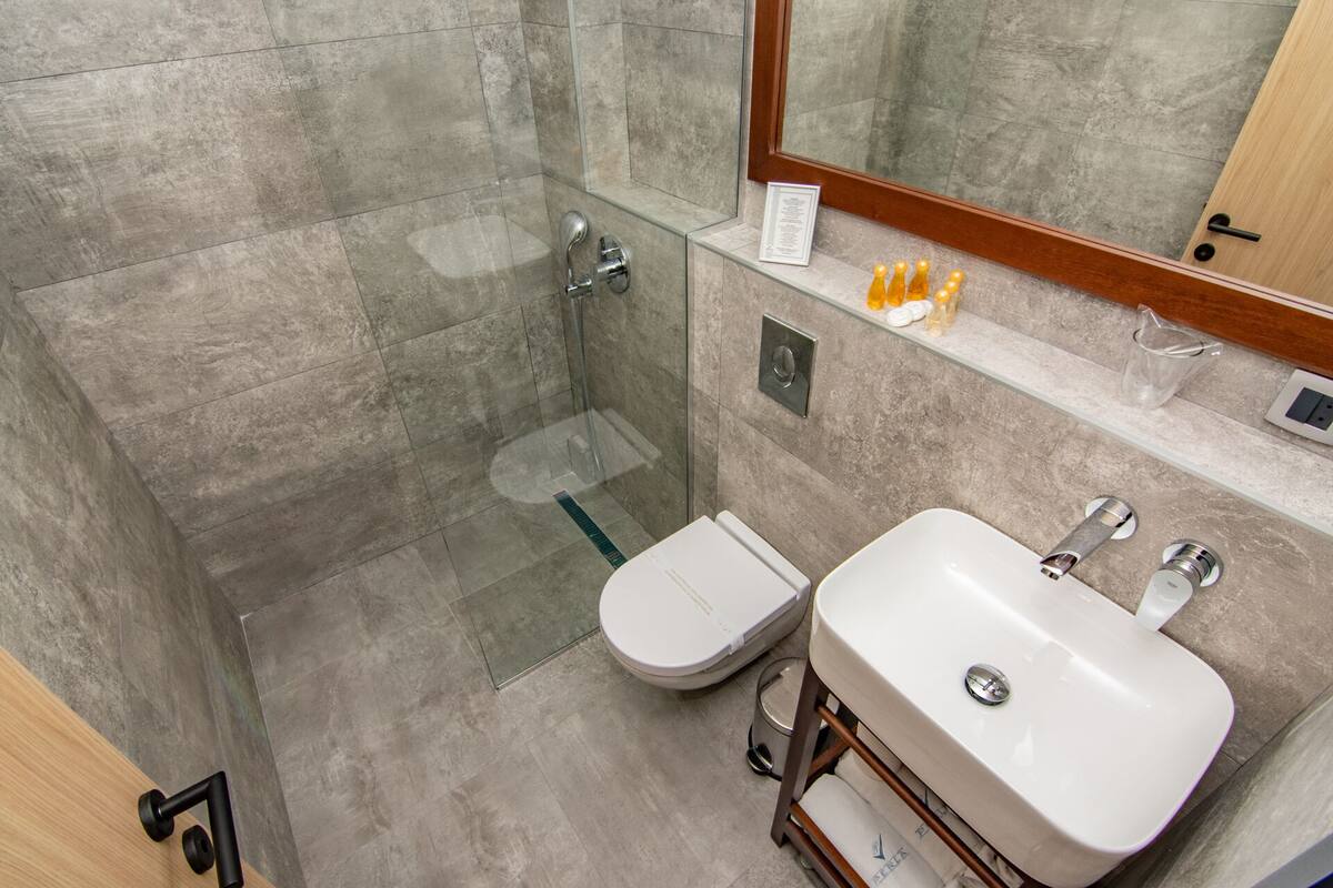 standard double room | bathroom | shower, designer toiletries, hair dryer, slippers