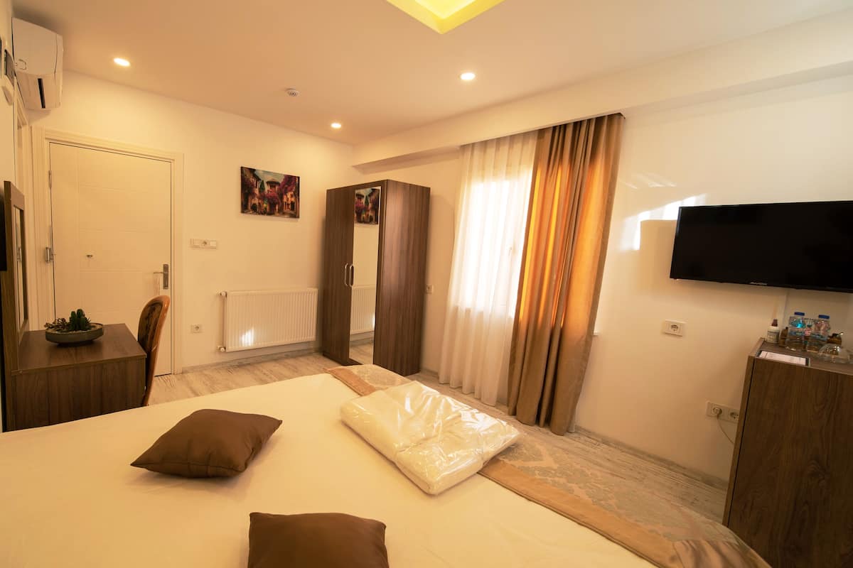 A hotel room with a bed, a TV, a wardrobe, and a desk with a plant.