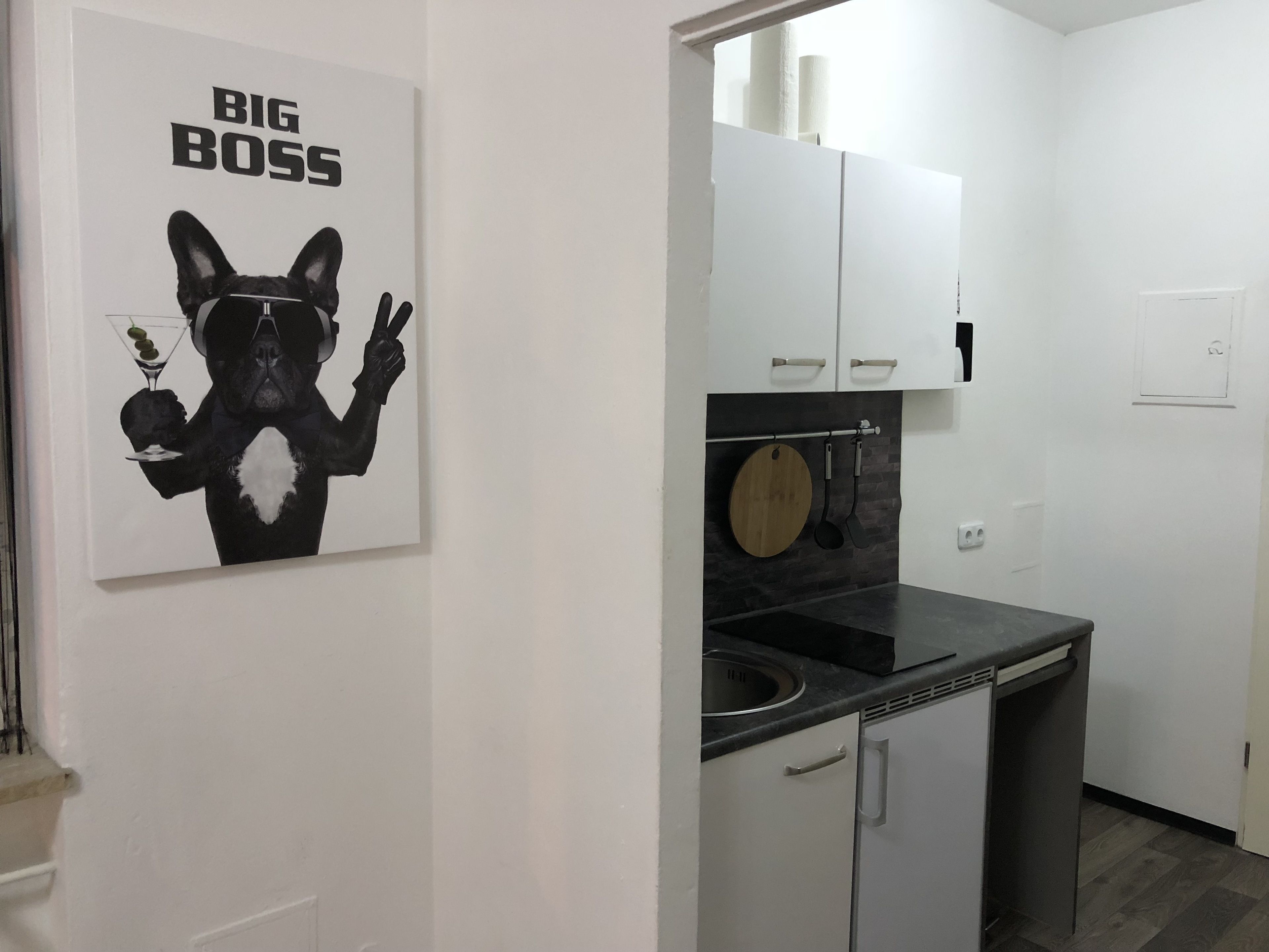 Lejlighed | Privat tekøkken | Køleskab/fryser i fuld størrelse, kogeplade, kaffe-/temaskine, elkedel