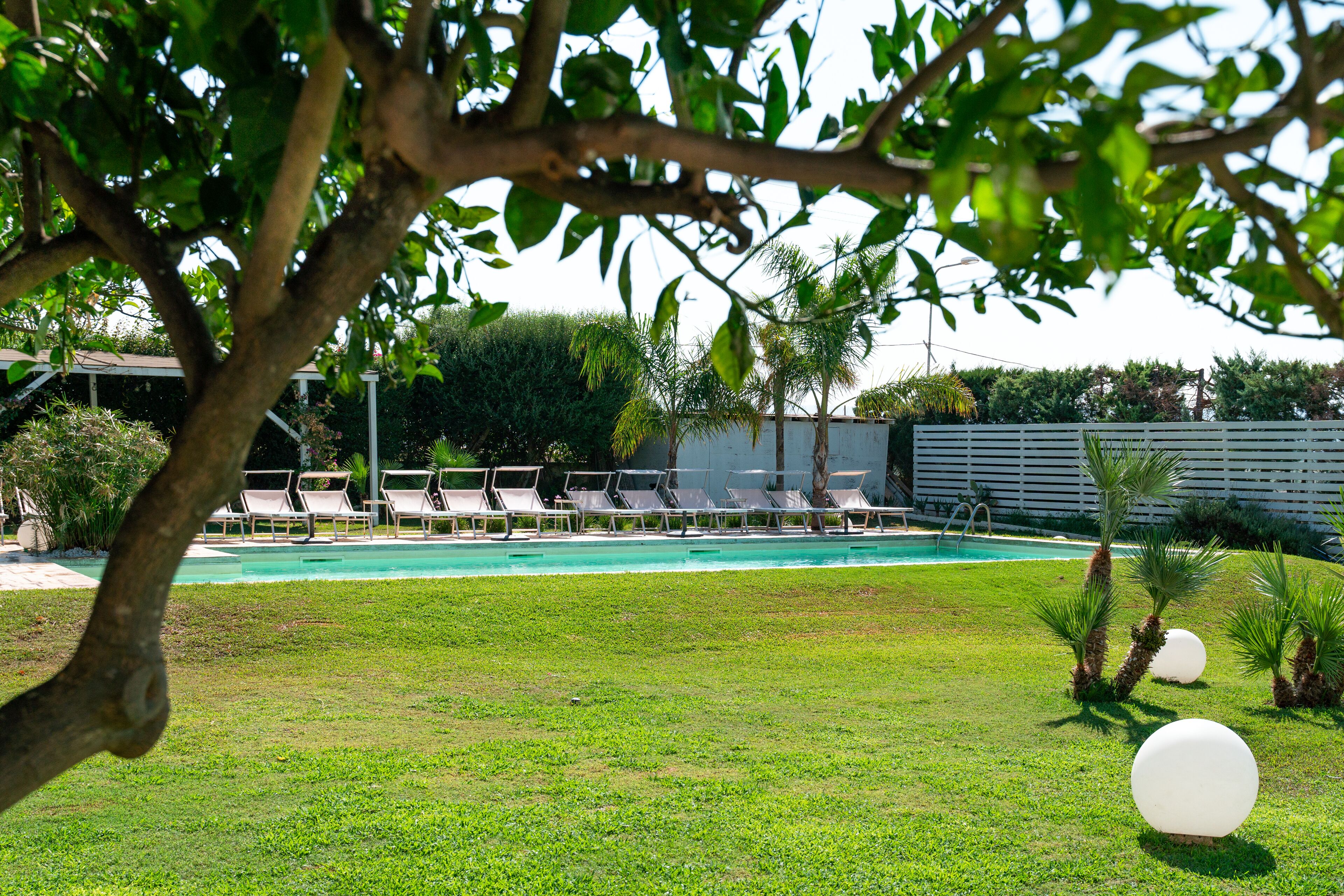 Un espace piscine avec des chaises longues et des palmiers.