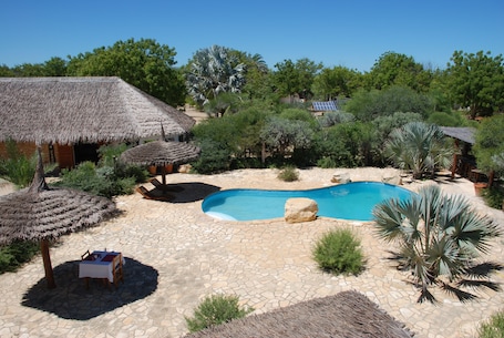 Outdoor pool, pool umbrellas, sun loungers