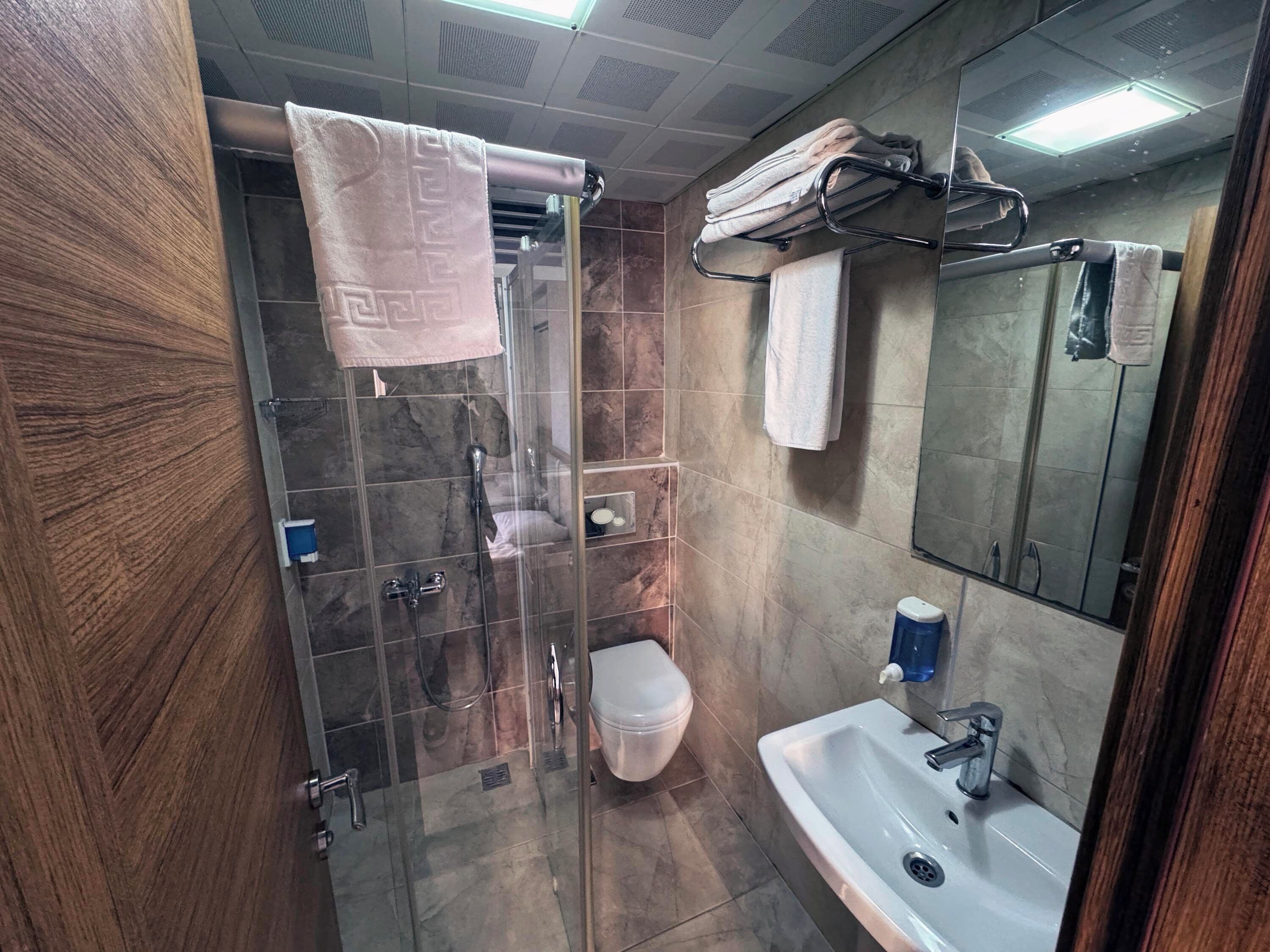 standard double or twin room | bathroom | shower, hydromassage showerhead, free toiletries, hair dryer