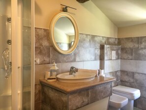 A bathroom with a glass shower enclosure, a sink with a mirror above it, and a toilet. - B&B La Valle Dei Vigher (Cavriana)