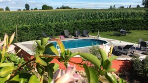 Ein Swimmingpool mit Liegestühlen und Blick auf ein Maisfeld.