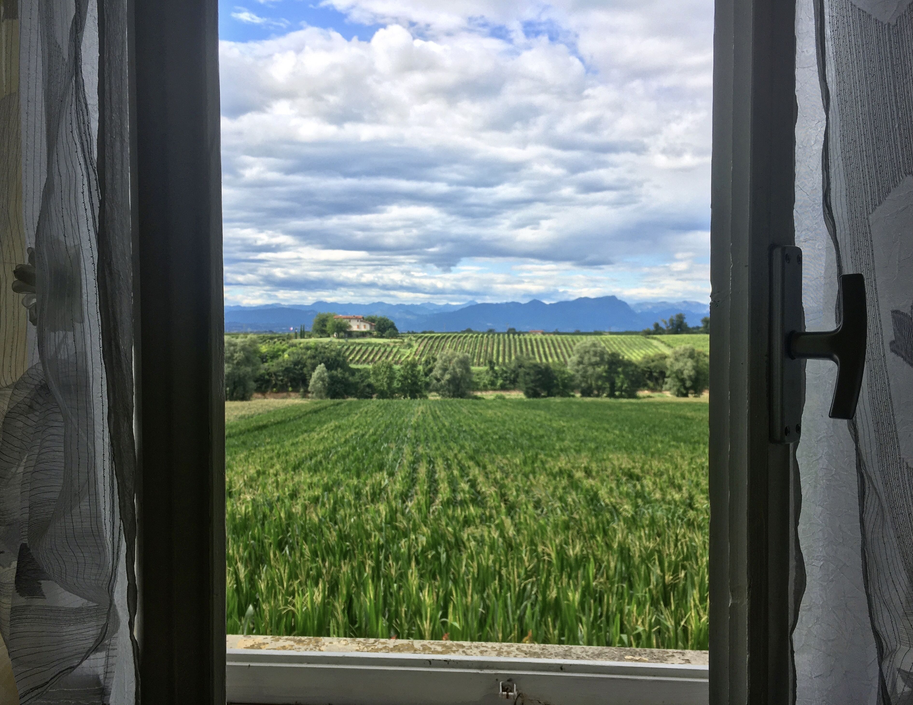 Camera doppia, bagno condiviso | Bagno | Set di cortesia gratuito, asciugacapelli, accappatoio, bidet