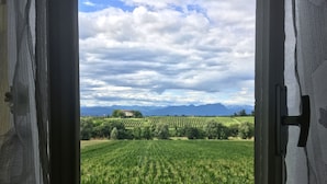 Blick durch ein offenes Fenster auf einen Weinberg mit Reichenglanz und ferne Berge unter einem bewölkten Himmel.