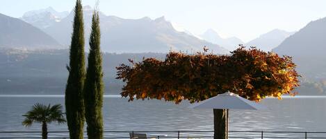 Vista de un lago con una mesa y sillas bajo un árbol, una palmera y montañas al fondo.