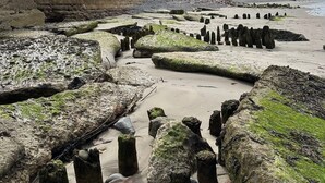 A coastal area with a stone wall, wooden posts, and a sandy beach. - Broomlea (Inverness)