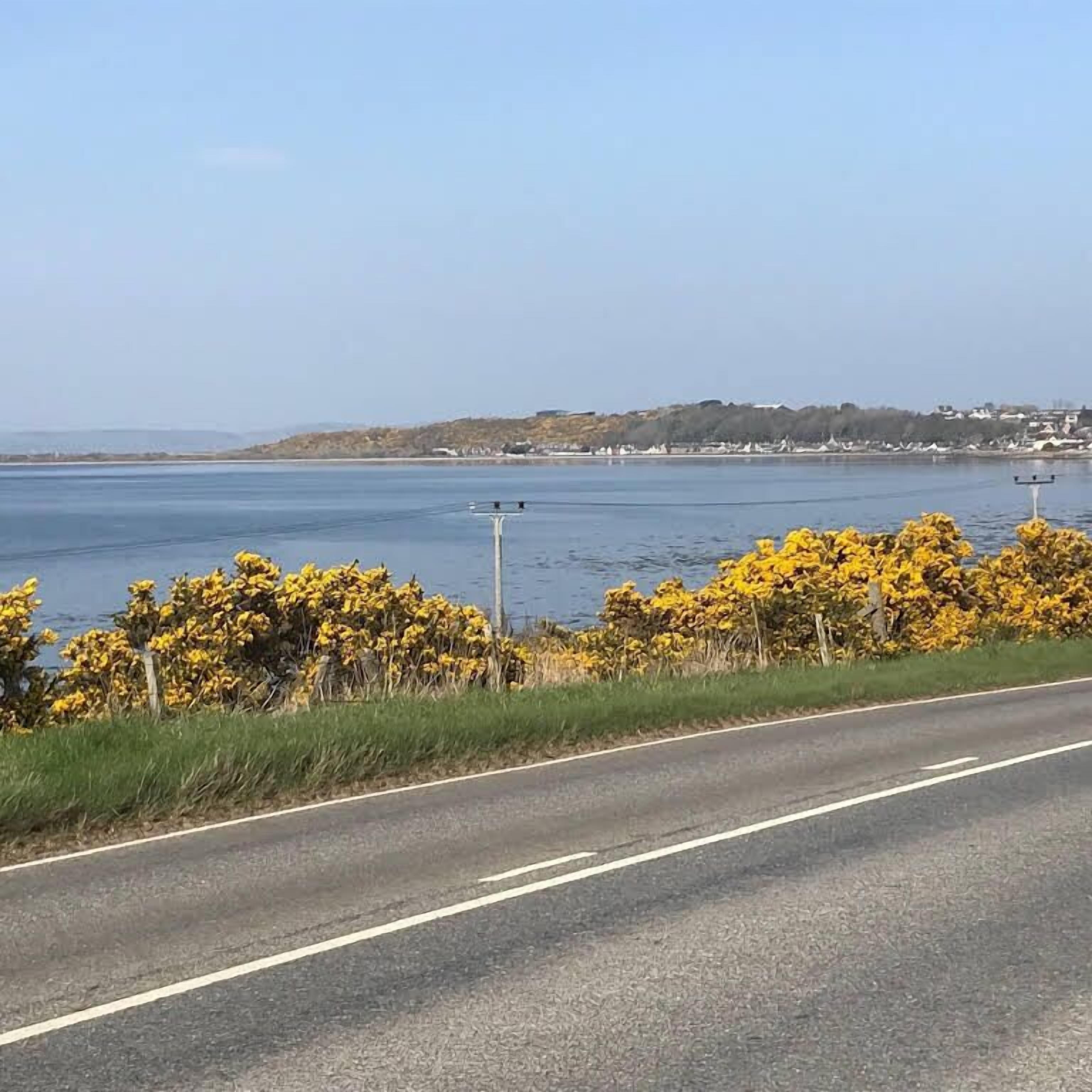 A road with a clear view of a body of water and a distant shoreline with buildings.