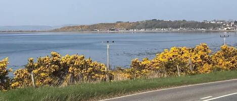 A road with a clear view of a body of water and a distant shoreline with buildings.