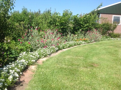 Cecilia Catharina B&B