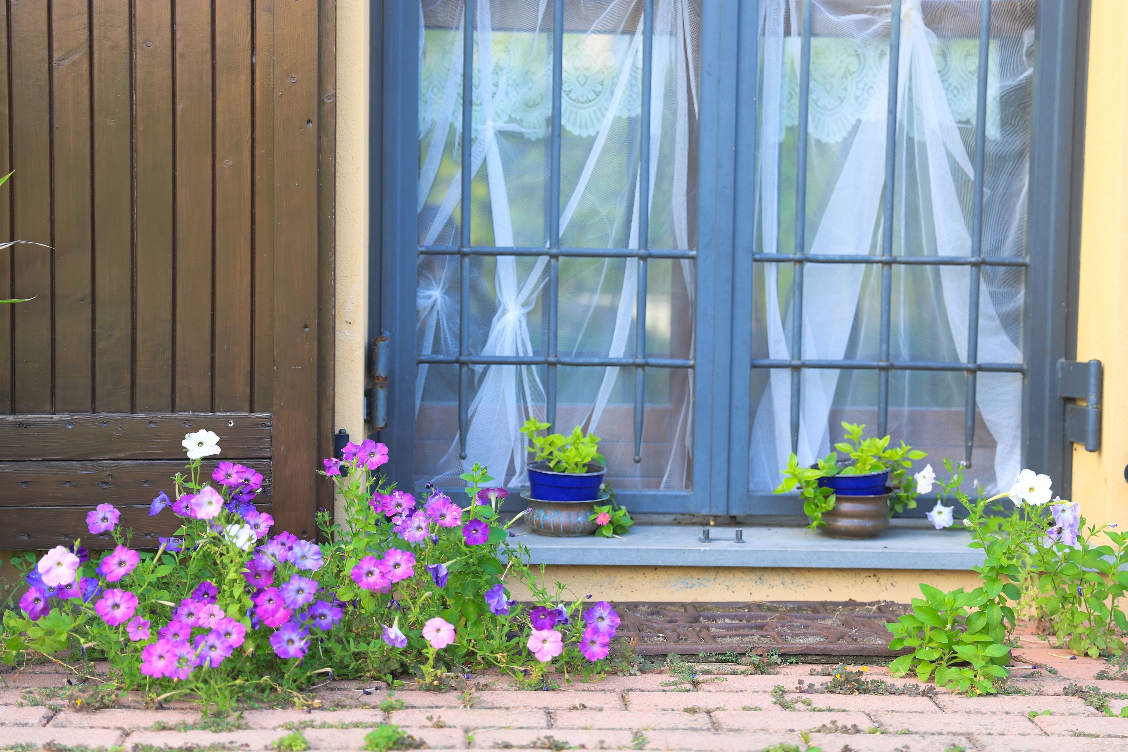 การตกแต่งภายนอก