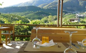 Terrace/patio - La Casa Vecchia (Valdobbiadene)