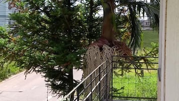 Terraço/pátio