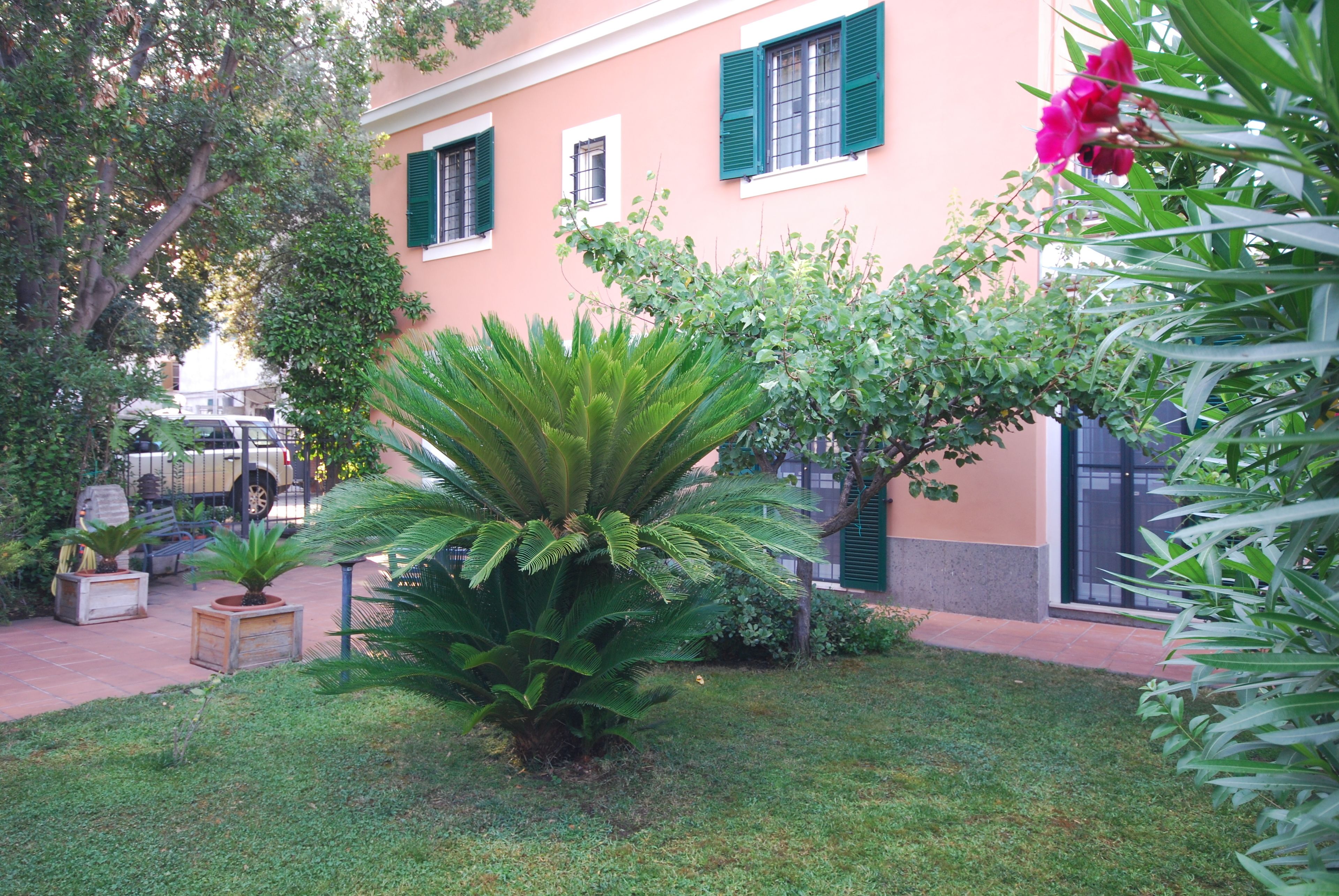 Un edificio con un jardín que presenta una palmera grande, plantas en macetas y una flor rosa.