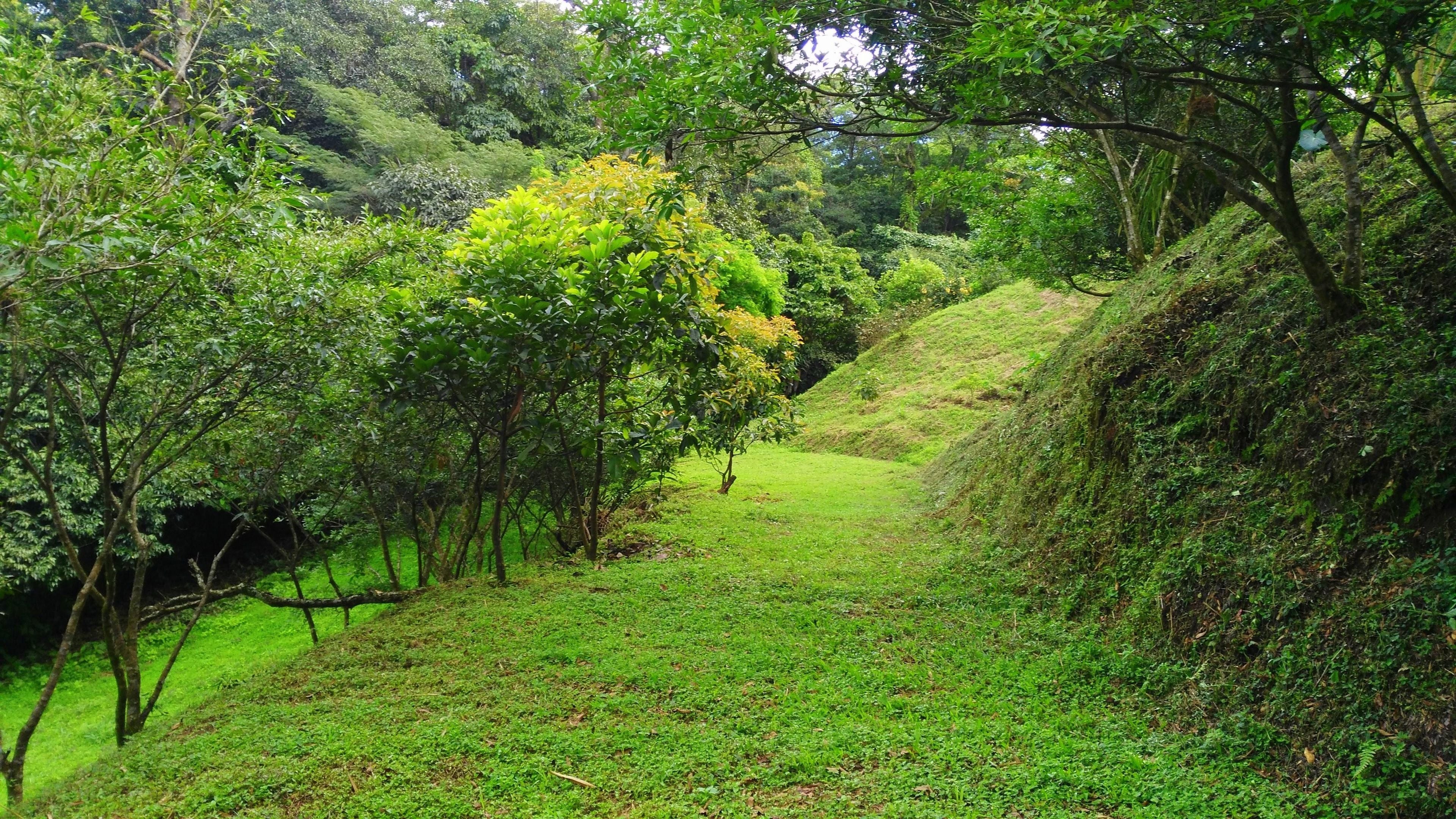 Foto - Hotel Pibi Boreal