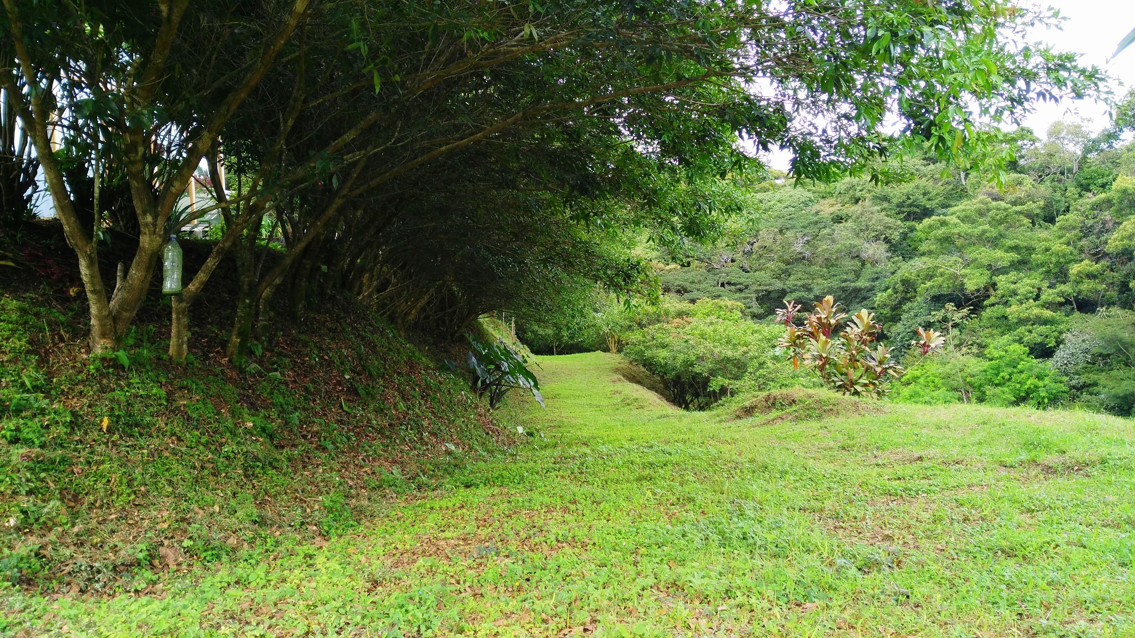 Foto - Hotel Pibi Boreal