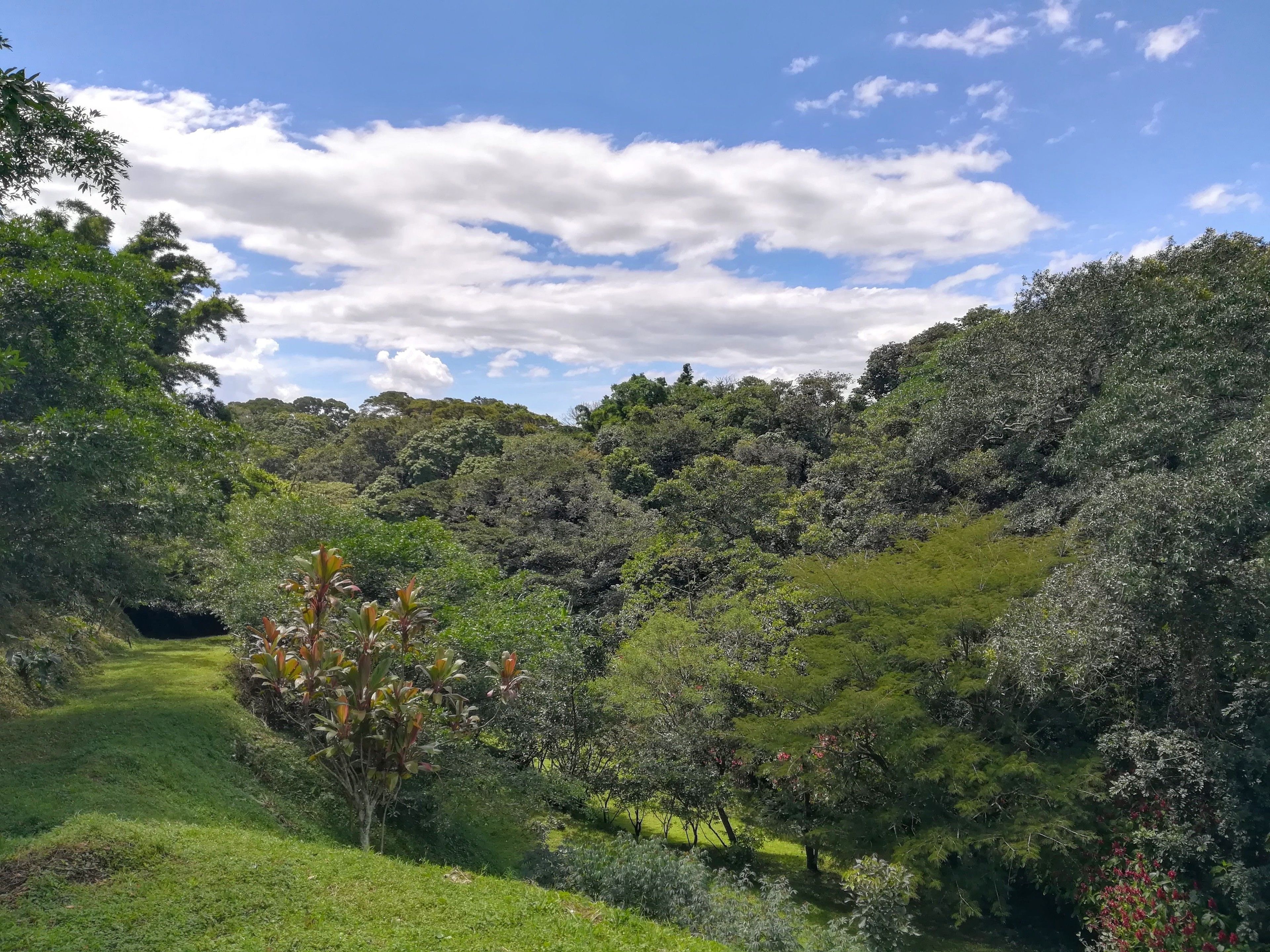 Foto - Hotel Pibi Boreal