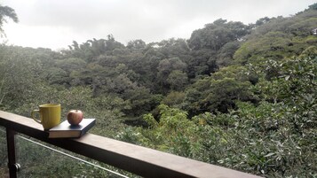 Vista del balcón