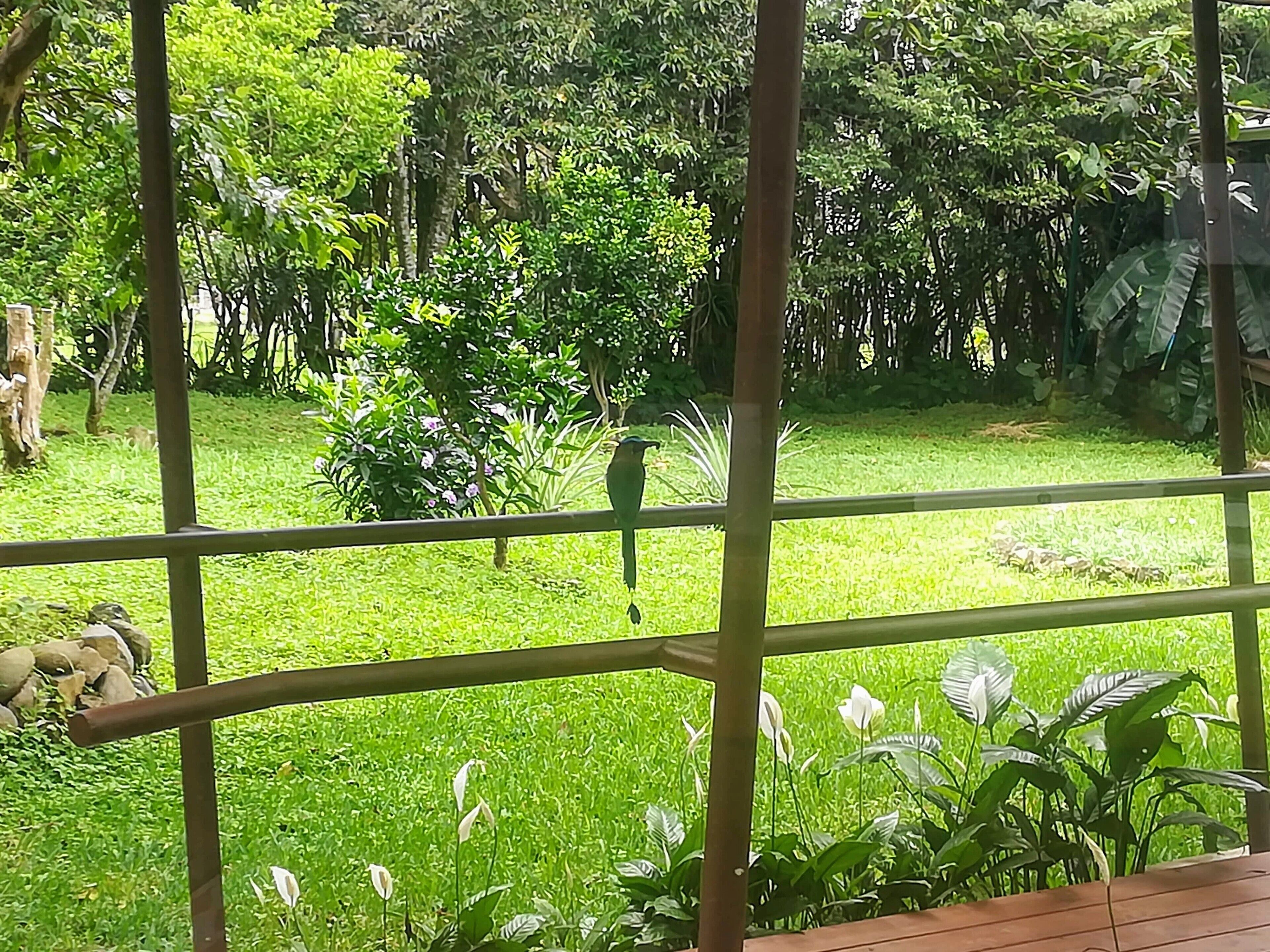 Foto - Hotel Pibi Boreal