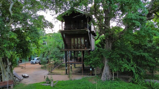 A treehouse with a wooden deck and stairs leading up to it, surrounded by lush greenery.