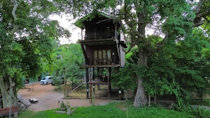Exterior - Wilpattu Tree House Hotel (Hunuwilagama)