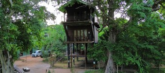 Wilpattu Tree House Hotel