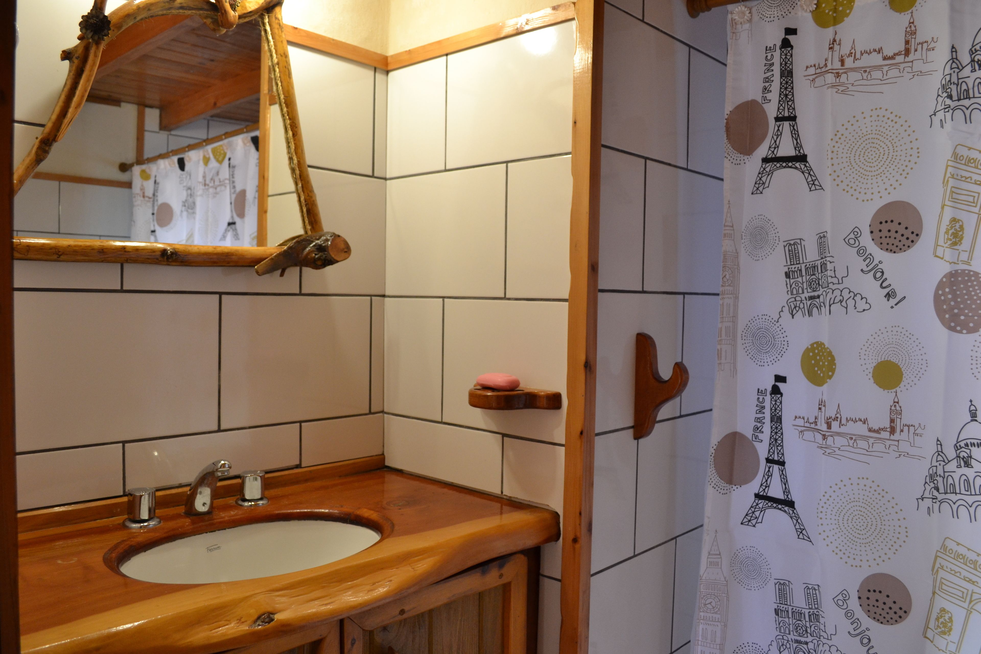 Shower, towels, toilet paper