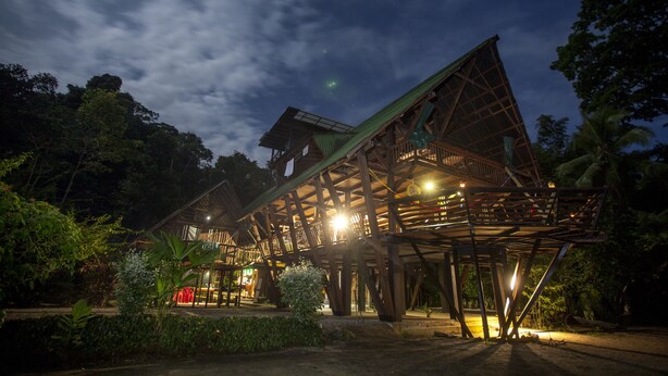Une structure en bois à plusieurs niveaux, entourée d’une végétation luxuriante.