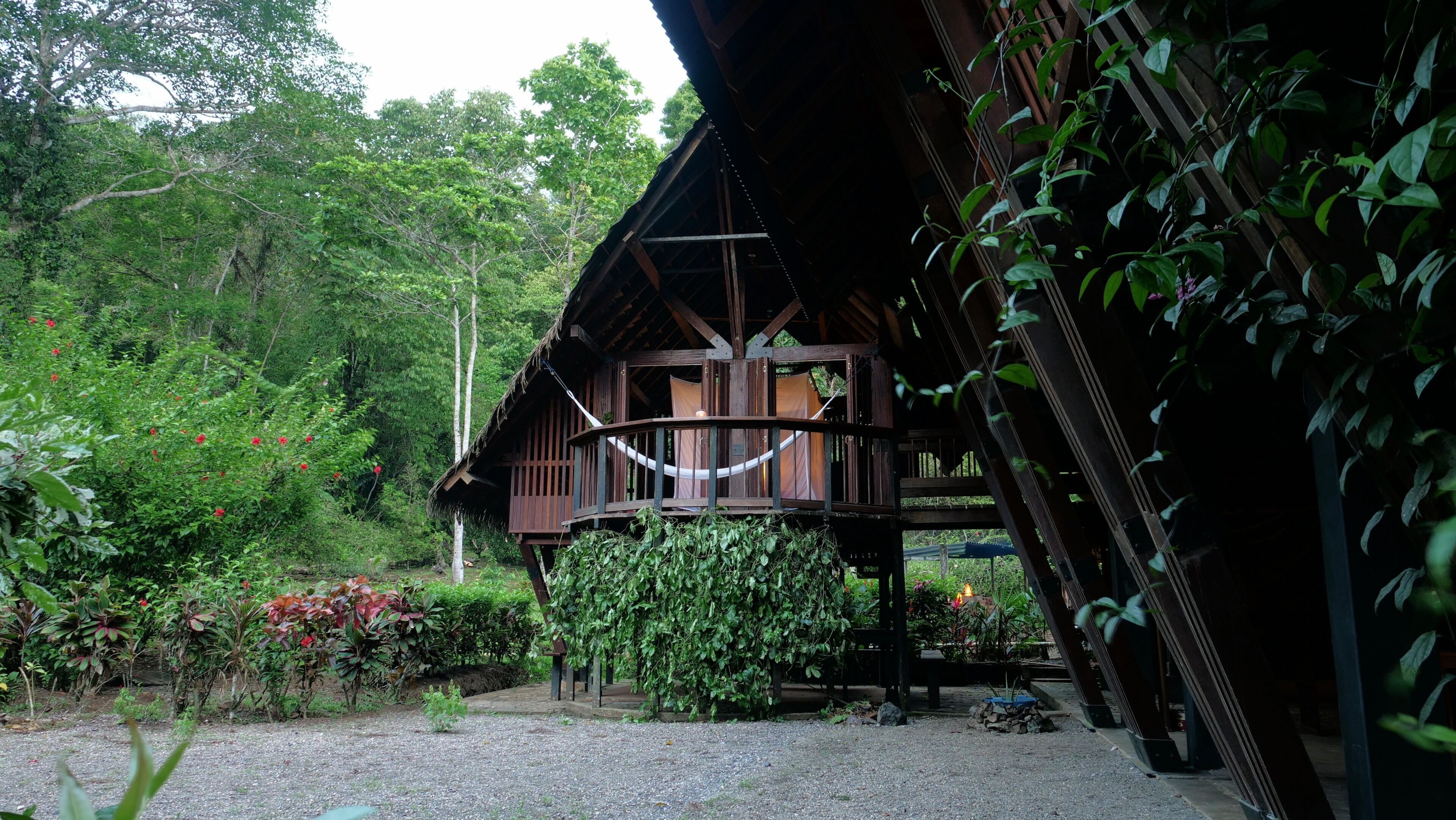 A wooden cabin with a balcony, surrounded by lush greenery and a gravel path.