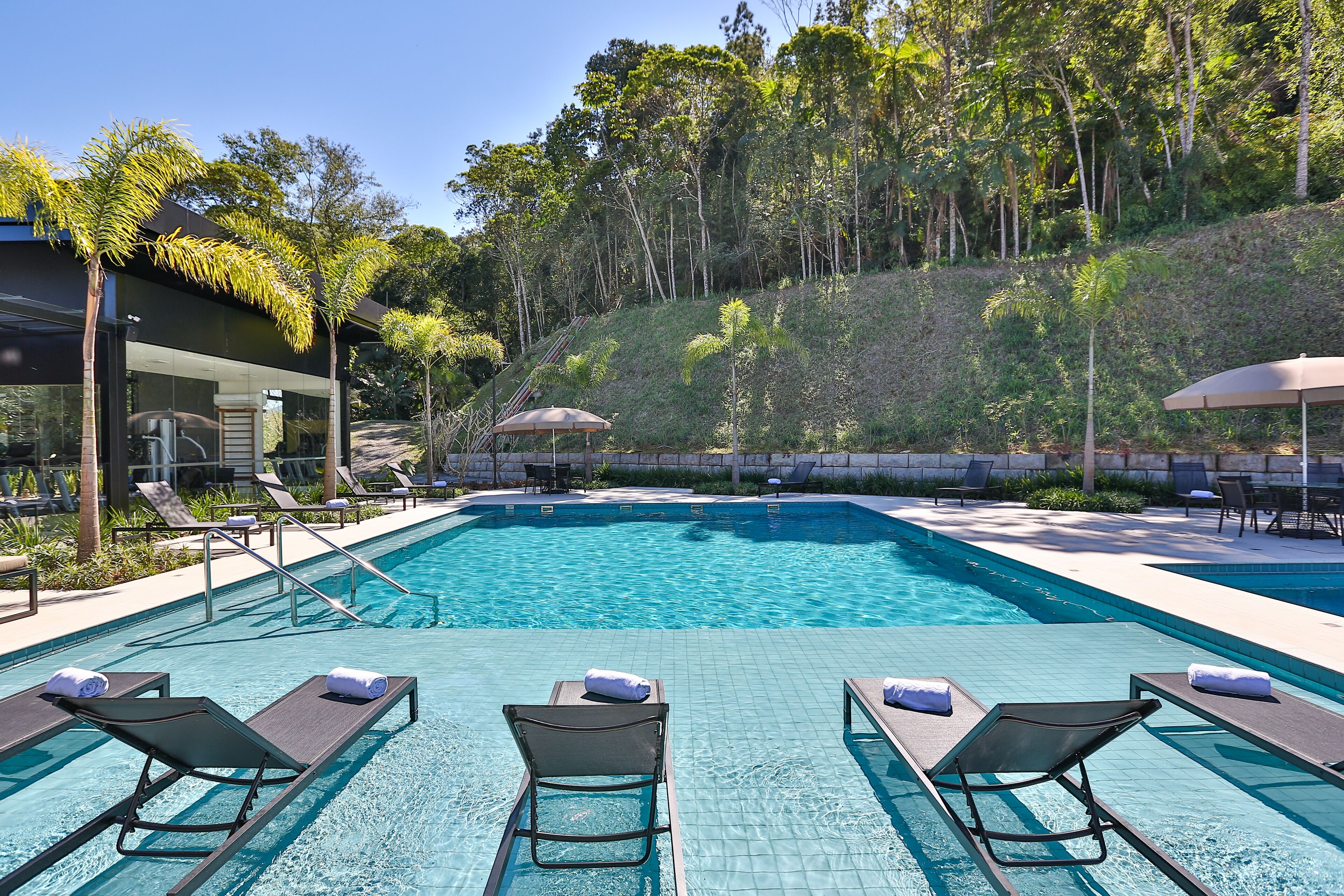 A swimming pool with lounge chairs and umbrellas, surrounded by greenery and trees.