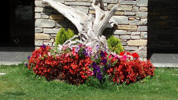 Un muro de piedra con el tronco decorativo de un árbol y un macizo de flores rojas y púrpuras.