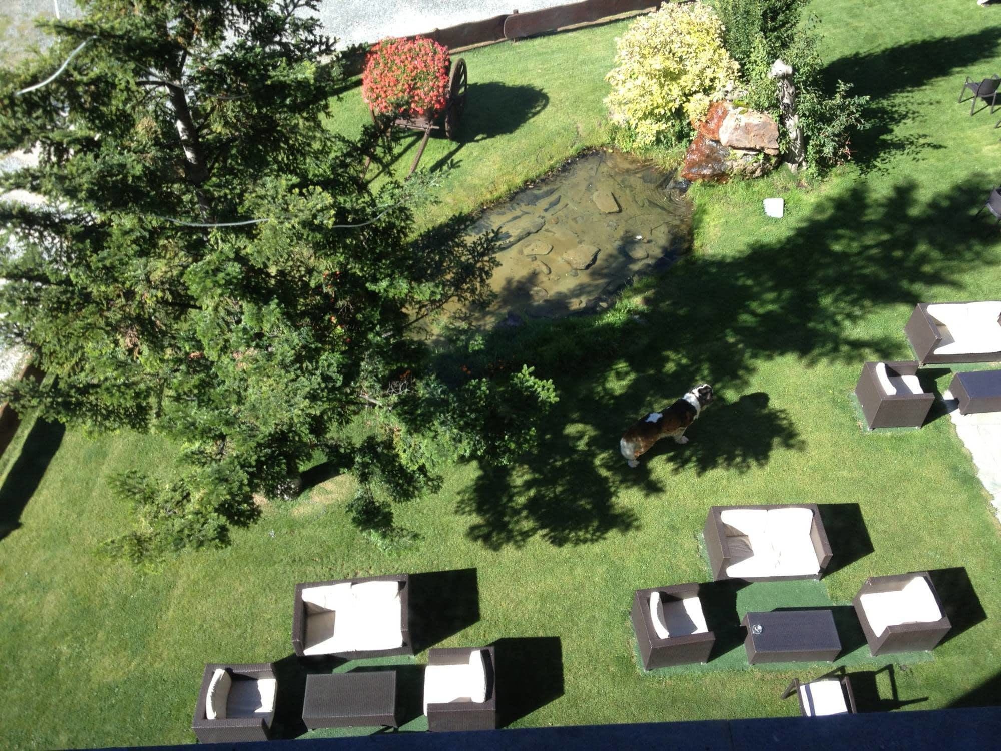 A rooftop garden with a small pond, surrounded by greenery and seating areas.