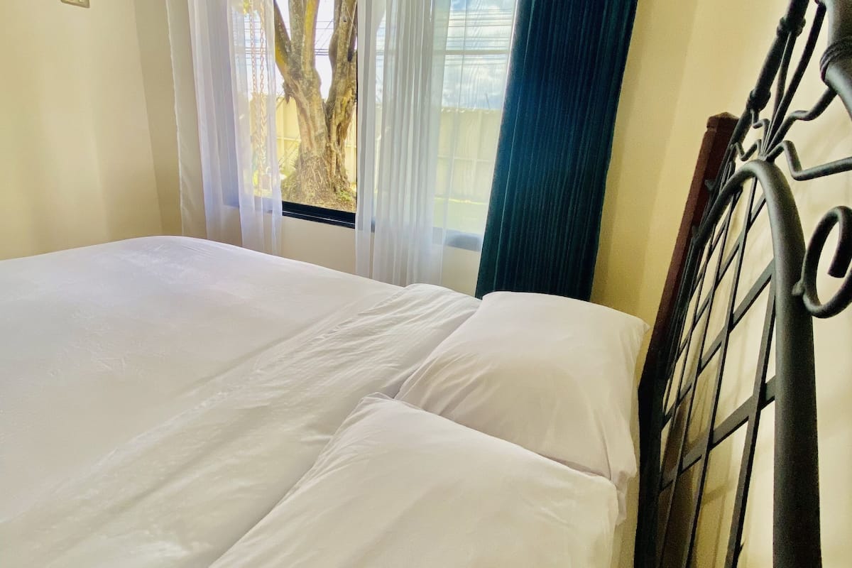 standard room, 2 double beds | hypo-allergenic bedding, down duvets, individually decorated