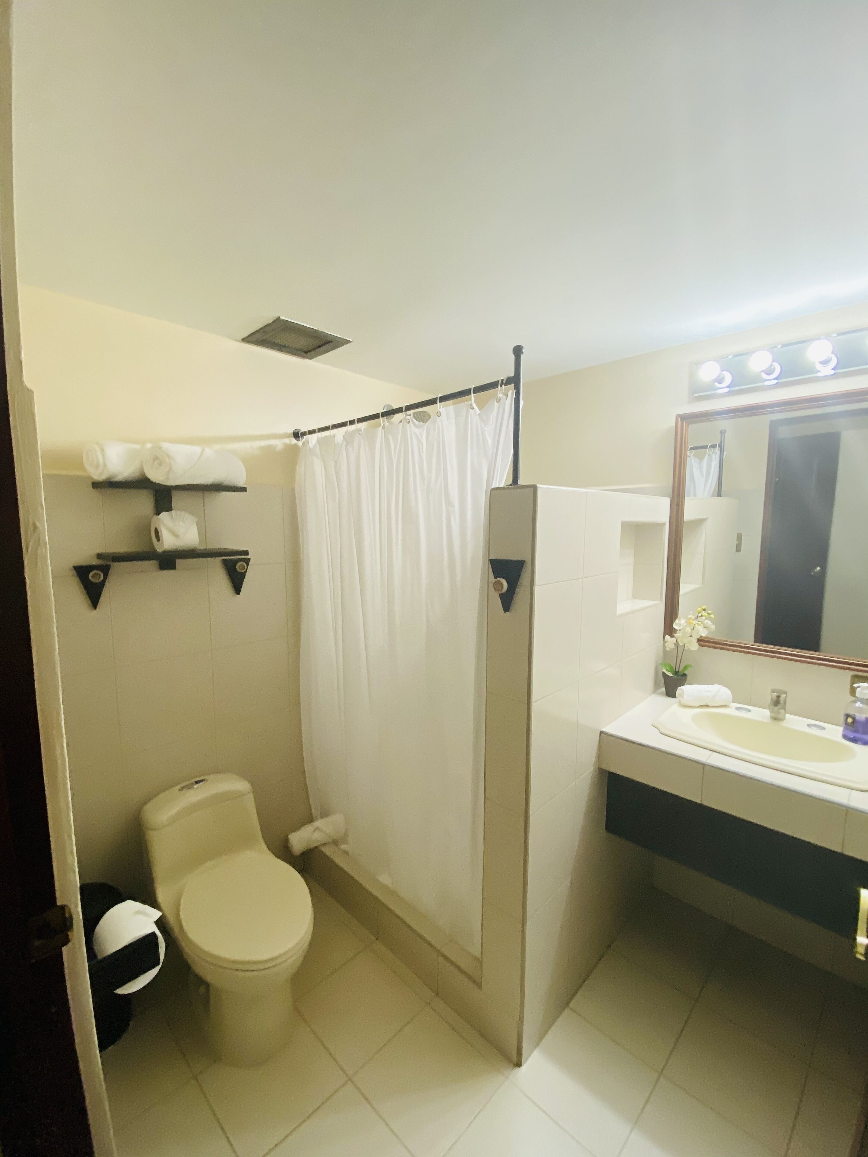 shower, free toiletries, hair dryer, towels