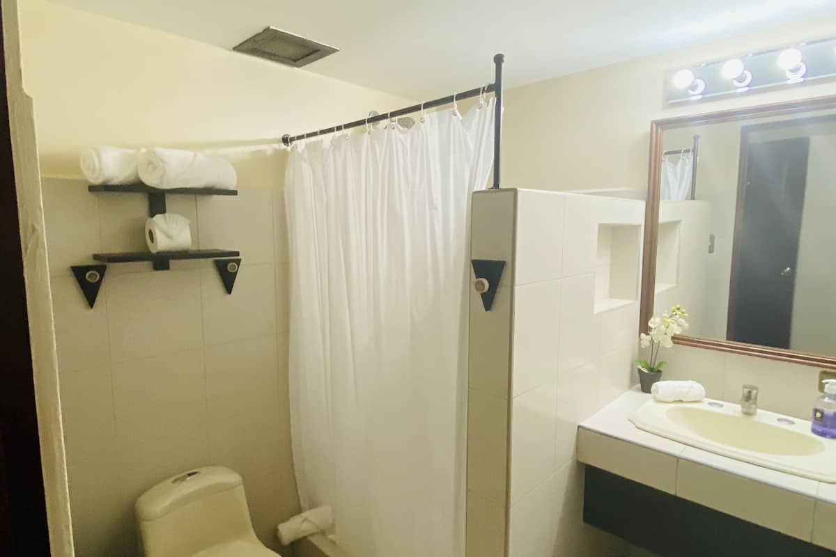 shower, free toiletries, hair dryer, towels