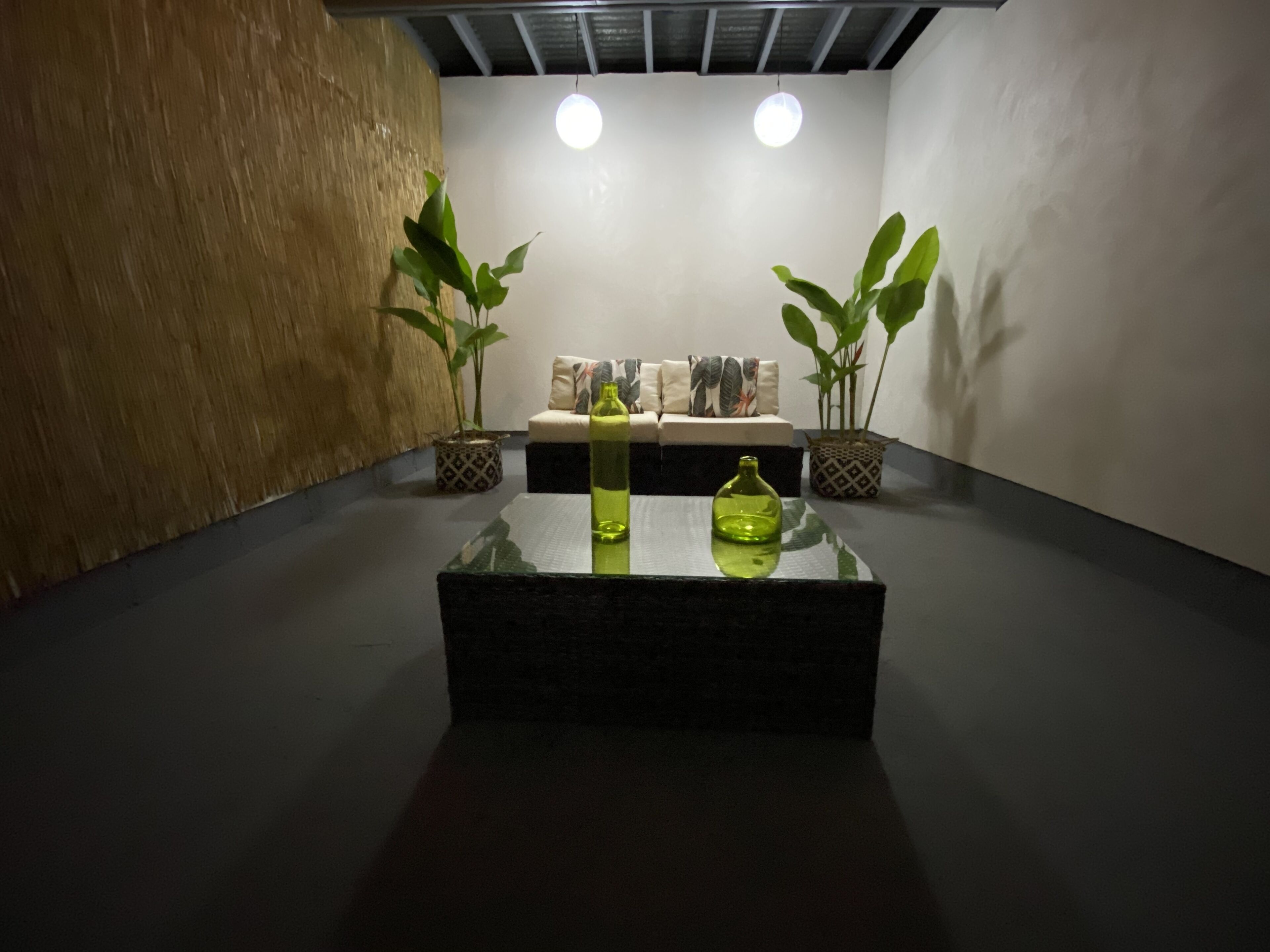A modern room with a glass coffee table, two potted plants, a sofa with patterned cushions, and a ceiling light fixture.