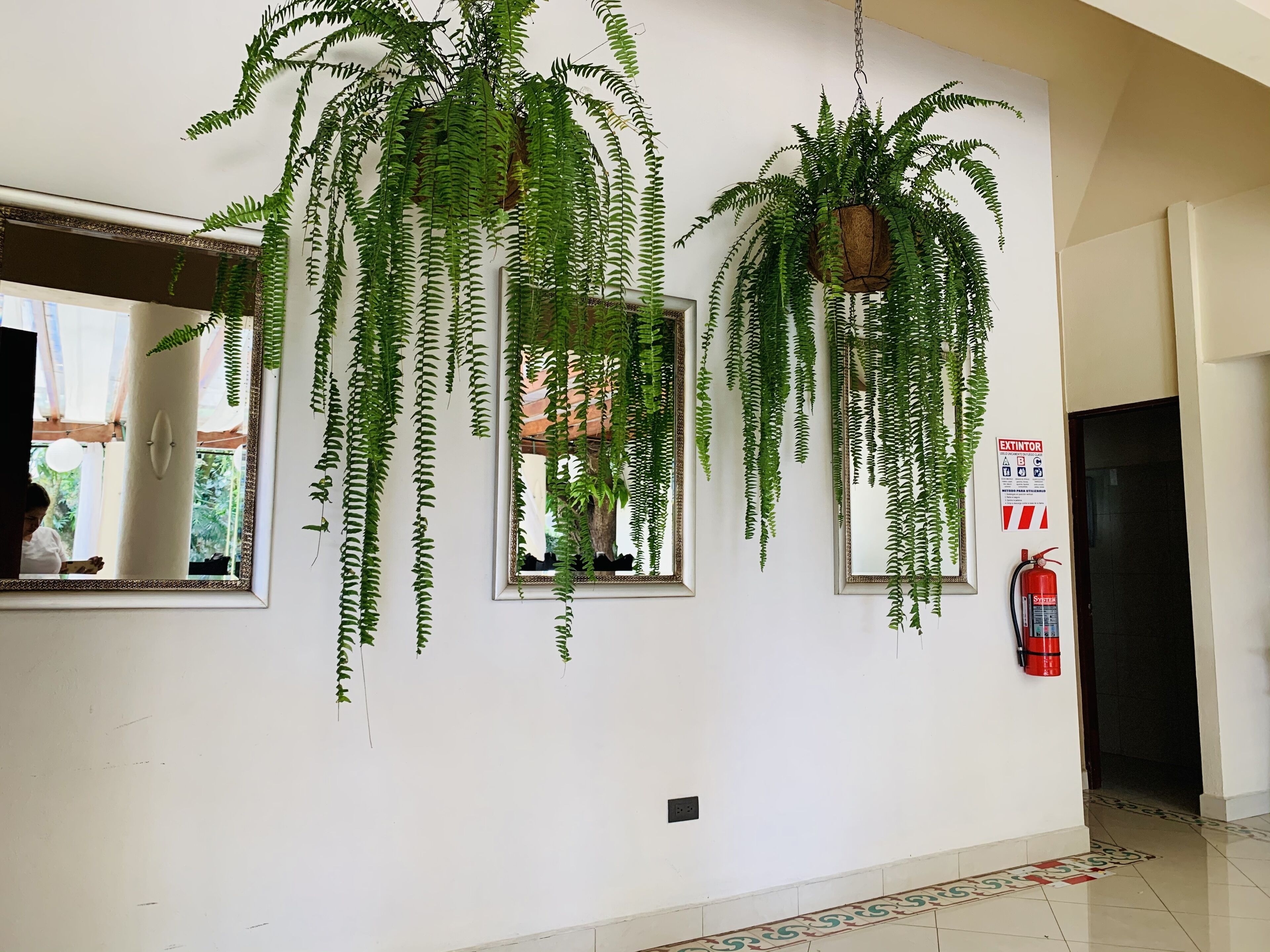 Foto - Hotel Mango Airport